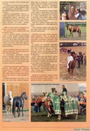 Koně a hříbata 2008-2.str.jpg