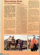 Koně a hříbata 2008-1.str.jpg